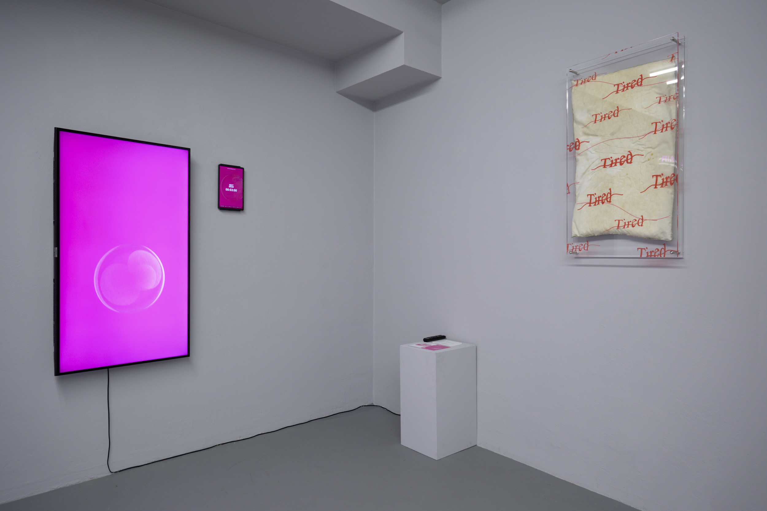 Ho fatto tardi, solo exhibition at SMDOT, 2026, Installation views